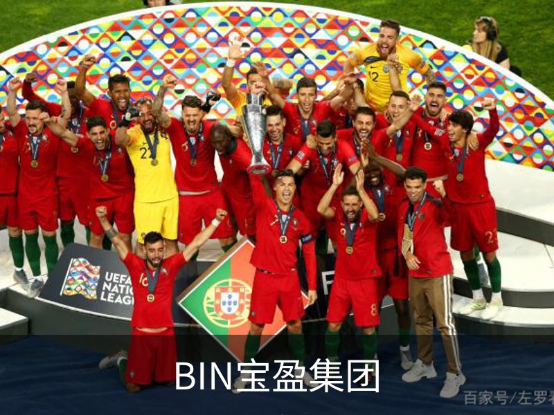 BIN宝盈集团简介